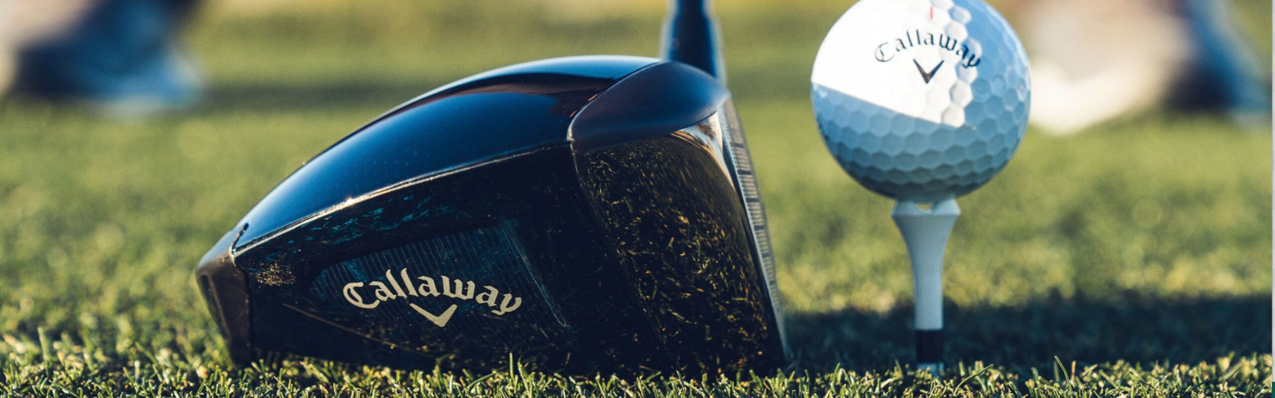 Fairway Finds 1 Fairway Finds -Fairway Finds AgAAAB0AA71MzWkIPbaD1m7rg1Ql3A scaled